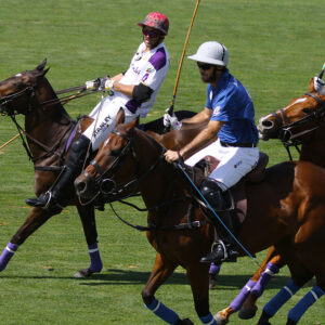 Polo copy